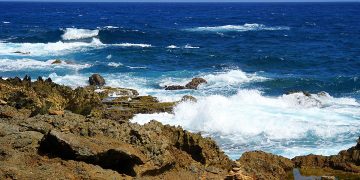 How to apply for a Vietnam business visa in Aruba