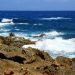 How to apply for a Vietnam business visa in Aruba