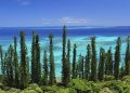 How to apply for a business visa in New Caledonia