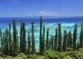 How to apply for a business visa in New Caledonia