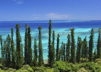 How to apply for a business visa in New Caledonia