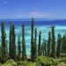 How to apply for a business visa in New Caledonia