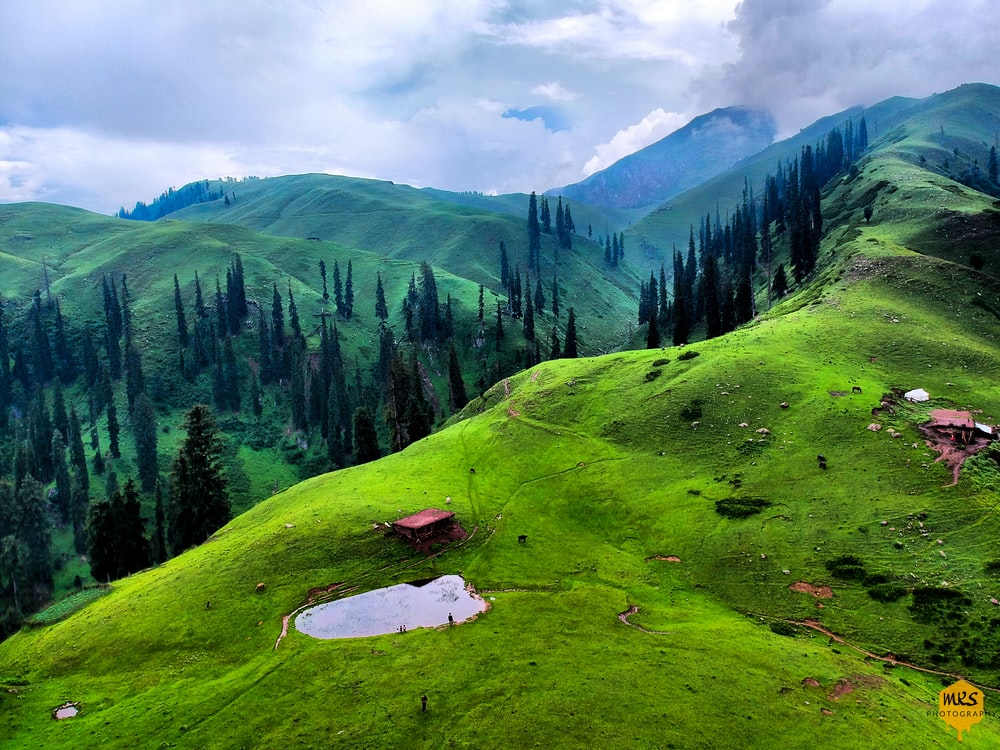 How To Apply For A Vietnam Tourist Visa From Pakistan Guides Fees