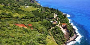 Vietnam business visa for Pitcairn citizens