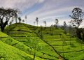 How to apply for a Vietnam business visa from Sri Lanka