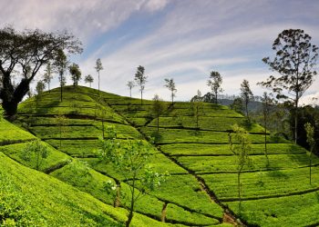How to apply for a Vietnam business visa from Sri Lanka
