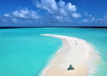 How to apply for a Vietnam business visa from Maldives