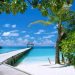 How to apply for a Vietnam tourist visa from New Caledonia
