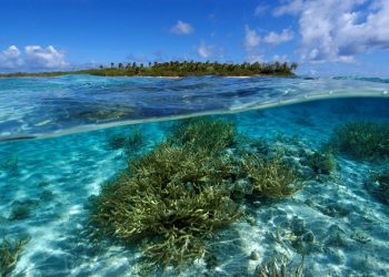 How to apply for a Vietnam tourist visa from Tuvalu