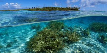 How to apply for a Vietnam tourist visa from Tuvalu