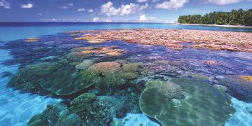 Vietnam visa on arrival for Vanuatu citizens