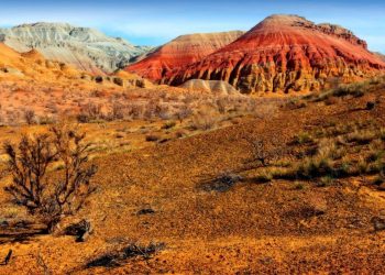 Vietnam visa requirements for Kazakhstani citizens