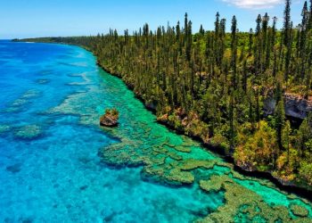 Vietnam visa requirements for New Caledonia citizens