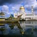 Vietnam business visa for Bruneian citizens