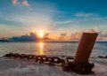 Vietnam business visa for Christmas Island citizens