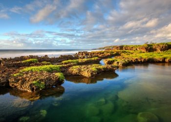 Vietnam business visa in Guam