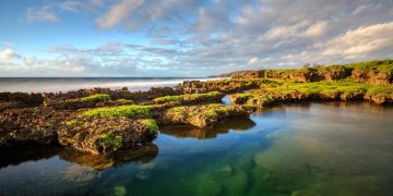 Vietnam business visa in Guam