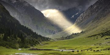 Vietnam business visa in Kyrgyzstan