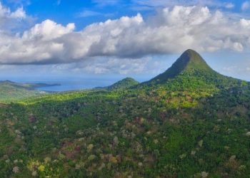 Vietnam business visa for Mayotte citizens