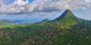 Vietnam business visa for Mayotte citizens