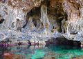 Vietnam business visa for Niuean citizen