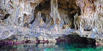 Vietnam business visa for Niuean citizen