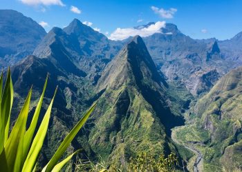 Vietnam business visa for Reunion citizens