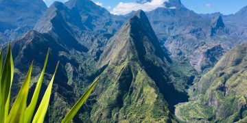 Vietnam business visa for Reunion citizens