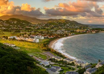 Vietnam business visa for Saint Kitts and Nevis citizens