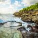 Vietnam tourist visa for Christmas Islands citizens
