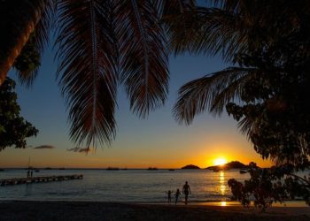 Vietnam tourist visa for Guadeloupe citizens