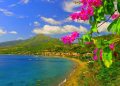 Vietnam tourist visa for Martinique citizens