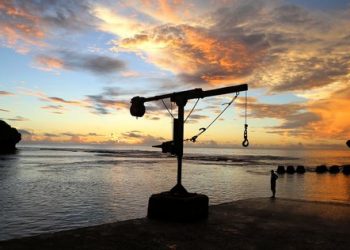 Vietnam tourist visa in Niue