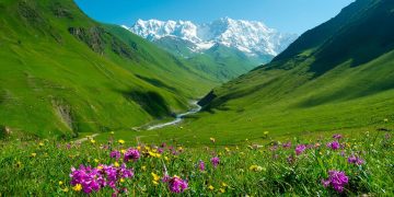 Vietnam tourist visa in Norfolk Islands