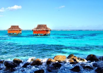 Vietnam tourist visa for Saint Vincent and Grenadines citizens