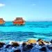 Vietnam tourist visa for Saint Vincent and Grenadines citizens