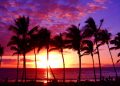 Vietnam visa on arrival for Christmas Island citizens