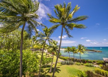 Vietnam visa on arrival for Guadeloupe