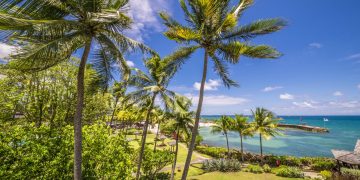 Vietnam visa on arrival for Guadeloupe