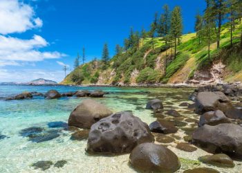 Vietnam visa requirements for Norfolk Islands citizens