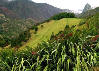 Vietnam visa on arrival for Saint Helena citizens