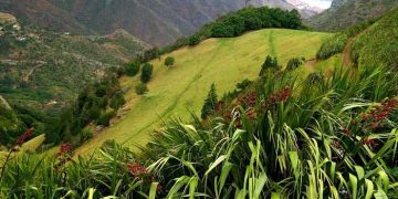 Vietnam visa on arrival for Saint Helena citizens