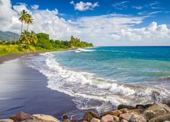 Saint Kitts and Nevis citizens