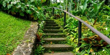 Vietnam visa on arrival for Saint Vincent and Grenadines