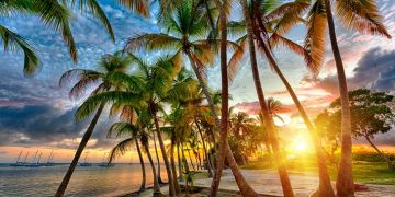 Vietnam visa requirements for Guadeloupe citizens