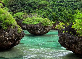 Vietnam visa requirements for Guamanian citizens