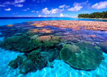 Vietnam visa requirements for Marshall Islands citizens