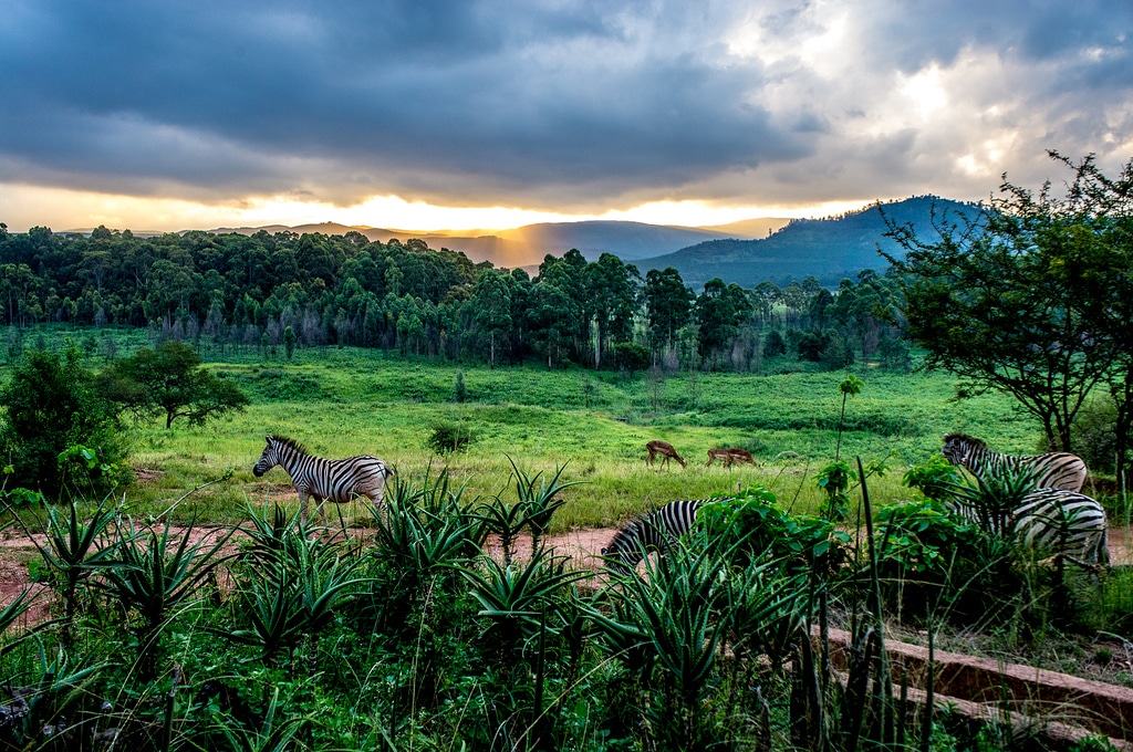 vietnam-visa-requirements-for-swazi-citizens-guides-fees