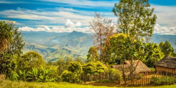 Vietnam business visa for Papua New Guinea citizens