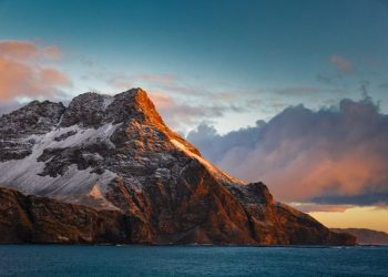 Vietnam business visa for South Georgia and the South Sandwich islands citizens